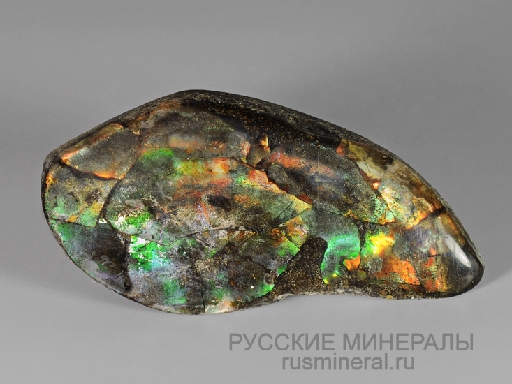 Аммолит Аммолит