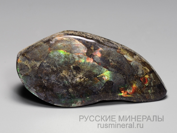 Аммолит Аммолит