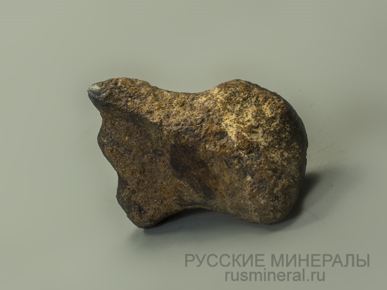 Метеорит Northwest Africa 859 (Taza)