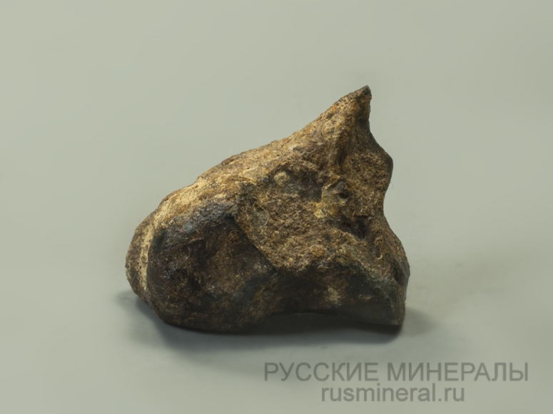 Метеорит Northwest Africa 859 (Taza)