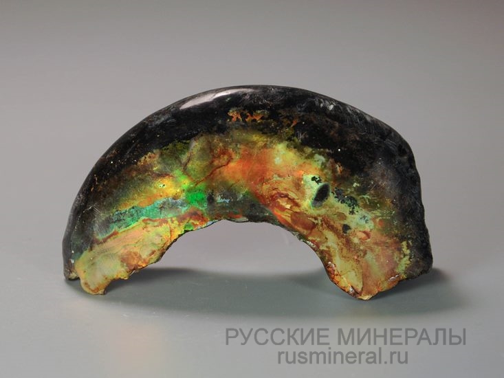 Аммолит Аммолит