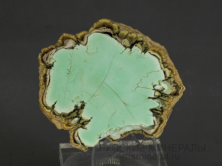 Варисцит (полированный образец) Варисцит (полированный образец)